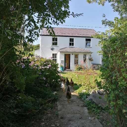 Cwm-y-gloTy Madog Eryri Snowdonia住宿加早餐旅馆 外观 照片